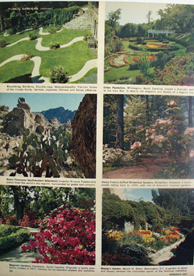 Public Gardens In America Pictures 1963