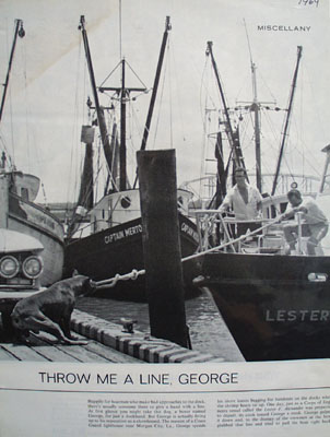 Throw Me A Line George Article And Picture 1964