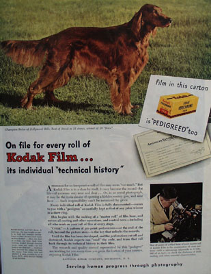 Eastman Kodak And Champion Rufus Ad 1945