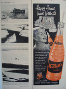 Nesbitts Orange Happy Homes Ad 1954