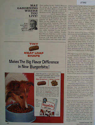 Burgerbits Dog Food Makes Flavor Difference Ad 1964