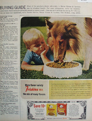 Friskies Collie and Small Boy Ad 1965