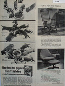 Friskies And Six Puppies Ad 1965