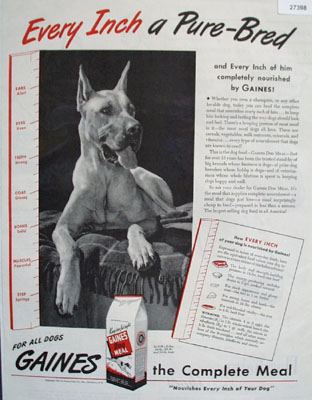 Gaines Every Inch A Pure Bred Ad 1945