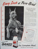 Gaines Every Inch A Pure Bred Ad 1945