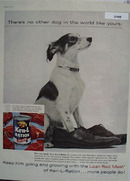 Ken L Ration Wearing Masters Shoes Ad 1959