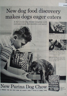Purina Dog Chow Makes Dogs Eager Eaters Ad 1957