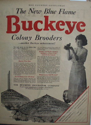 Buckeye Incubator New Blue Flame Ad 1923