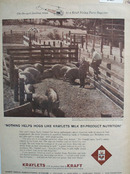 Kraylets Milk On The Spot Feeding Ad 1960