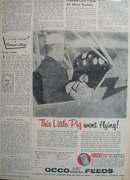 Occo Mineral Feeds Pig Went Flying Ad 1960
