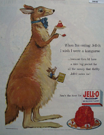 Jell O And Kangaroo Ad 1954