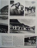 Jockey Club At Rio De Janeiro Picture 1949