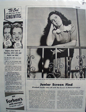 Elizabeth Taylor In National Velvet Movie Ad 1945
