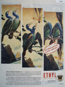 l945 Ethyl Ad showing a pair of Japanese Cormorants
