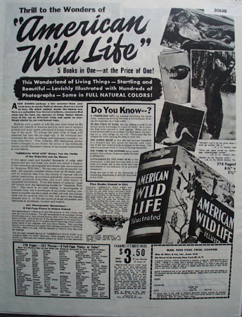 Wm H Wise Co American Wild Life Ad 1946