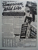 Wm H Wise Co American Wild Life Ad 1946