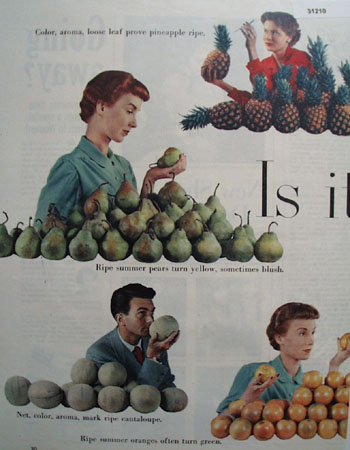 Is It Ripe Fruit 1949 Article
