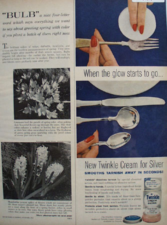 Drackett Co. Twinkle Cream for Silver 1961 Ad