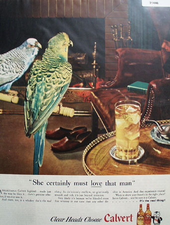 Calvert Whiskey Parrots 1946 Ad