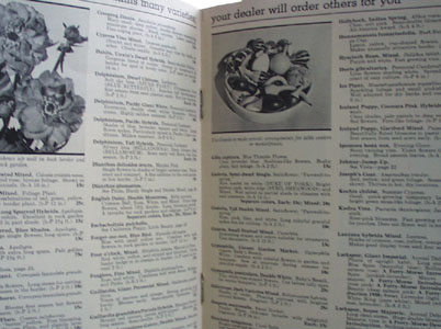 Ferrys Home Garden Planting Guide 20th Century