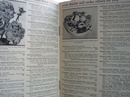 Ferrys Home Garden Planting Guide 20th Century