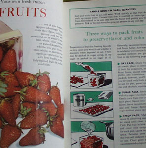 How To Freeze Foods Cookbook 1961