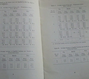 Deterioration In Asparagus Booklet 1917