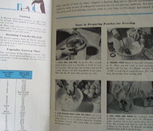 How To Prepare Foods For Freezing Cookbook 1958