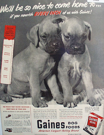 Gaines Dog Food Two Puppies 1950 Ad