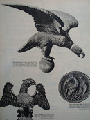 Eagle Perched on Weathervane Picture and Article 1949