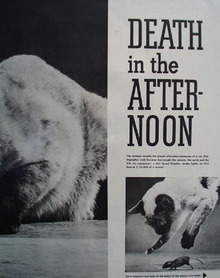 Death In The Afternoon Article Cat And Mouse 1949