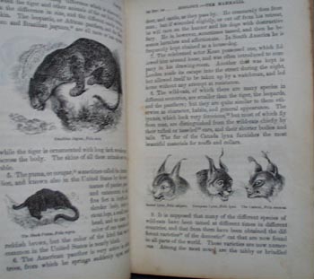 Third Reader 1860, Harpers series by Willson