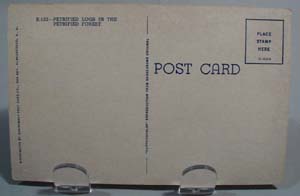 Petrified Forest Post Card