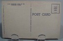 Petrified Forest Post Card