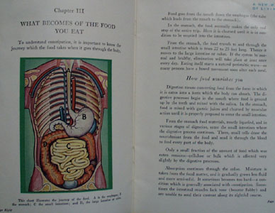 A New Way of Living Cookbook 1932
