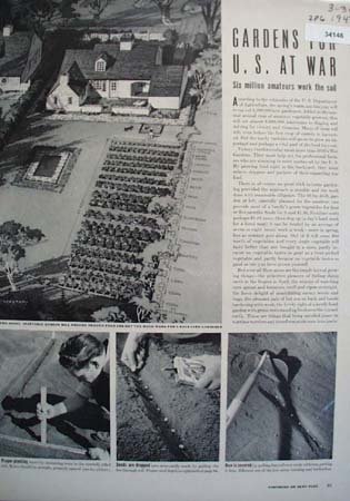 Gardens For U.S. At War Article 1942