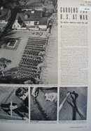 Gardens For U.S. At War Article 1942