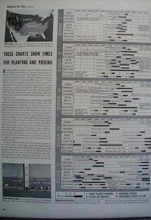 Gardens For U.S. At War Article 1942