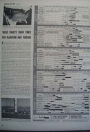 Gardens For U.S. At War Article 1942