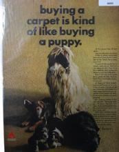 Celanese Fortrel Carpet 1966 Ad