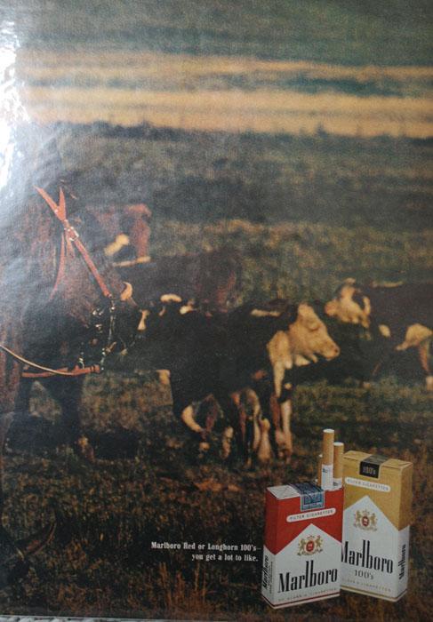 Marlboro Red Or Longhorn 100s Cigarettes 1970 Ad