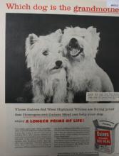Gaines Homogenized Dog Meal 1956 Ad.