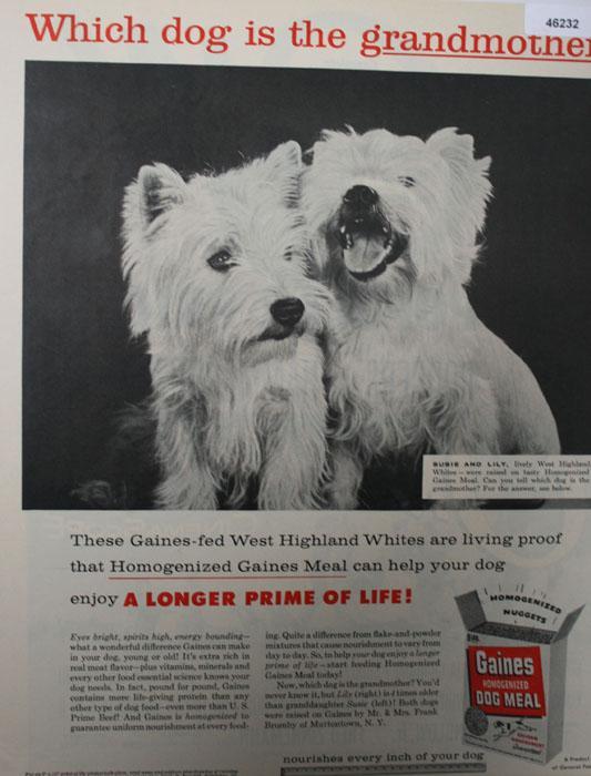 Gaines Homogenized Dog Meal 1956 Ad.