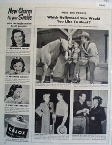 Hollywood Stars 1947 Article