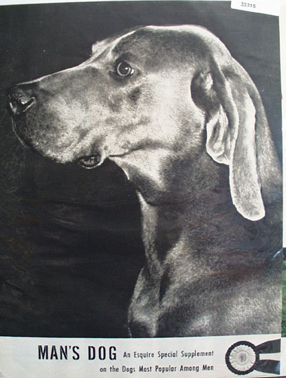 Mans Dog Ad 1949