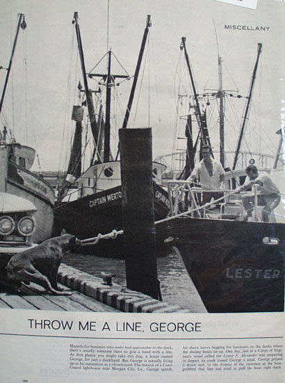 Throw Me A Line George Dog Ad 1964