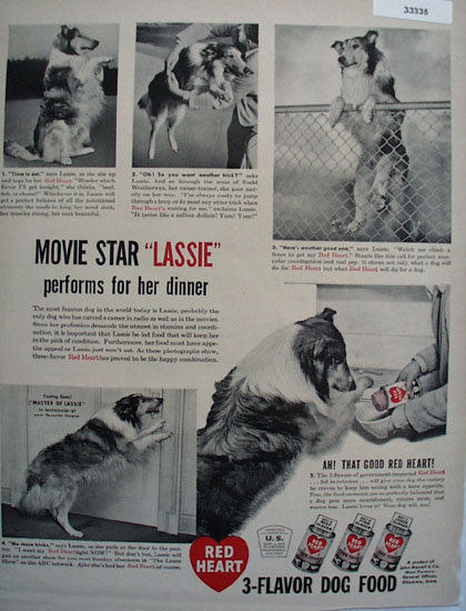 Red Heart Lassie Performs For Dinner Ad