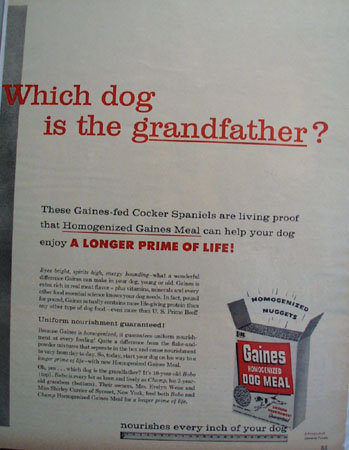 Gaines Dog Food Cocker Spaniels 1956 Ad.