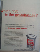 Gaines Dog Food Cocker Spaniels 1956 Ad.
