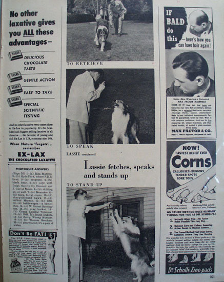 Lassie Works With Trainer Ad 1927